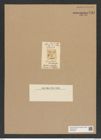 Triceratium mammosum Grev. (de-Toni-Nr.: Genus 140, Species 3978) Zeichnungen Sammlung Grunow Nr. 7454 (NHMW-BOT-W0376546)